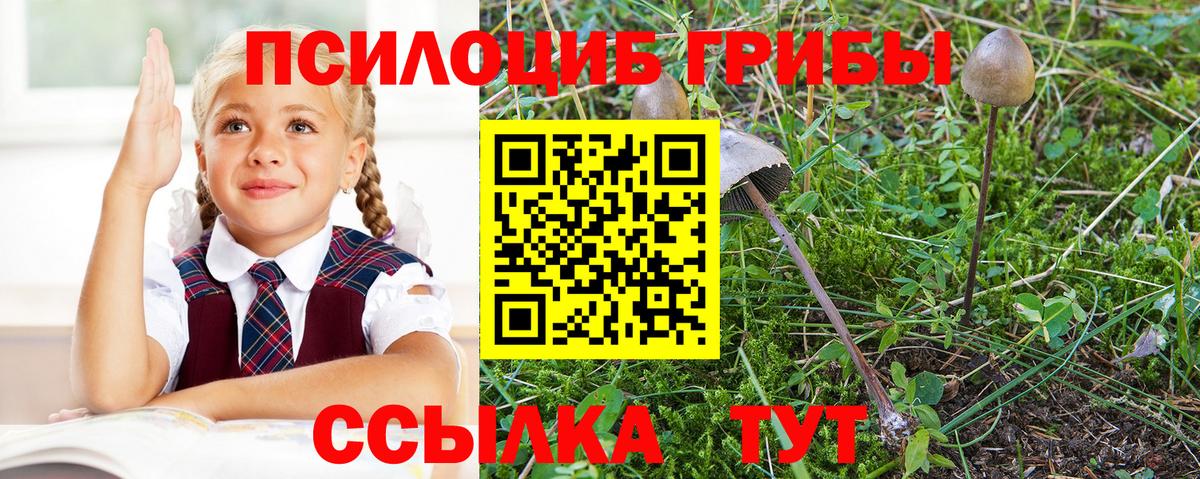Псилоцибиновые грибы MAGIC MUSHROOMS Валуйки